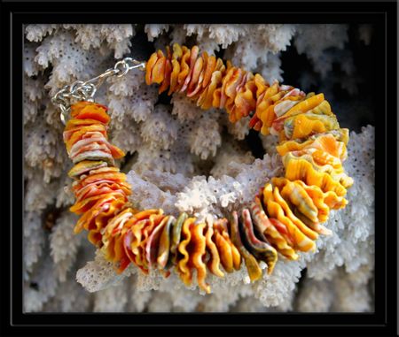 Sunrise Shell Chip Bracelet CUSTOM Made to Order