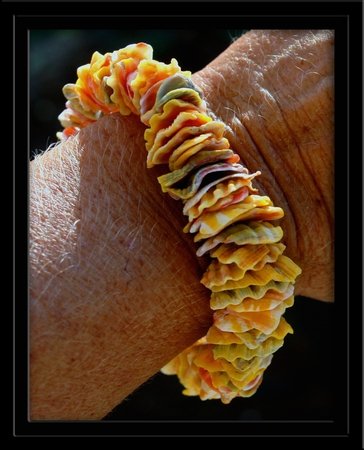 Sunrise Shell Chip Bracelet CUSTOM Made to Order Sunrise Shell Chip Bracelet CUSTOM Made to Order