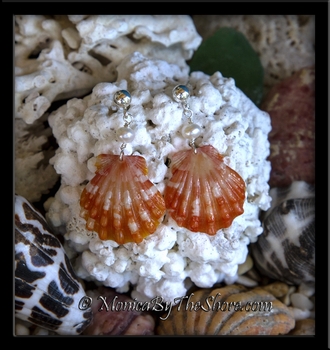 Tiger Stripe Hawaiian Sunrise Shells with Pearls Silver Post Earrings