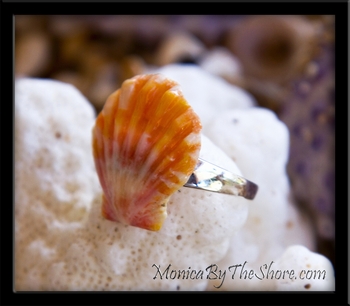 Toe Ring!  Papaya Colored Hawaiian Sunrise Shell Sterling Silver