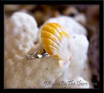 Toe Ring! Yellow & White Hawaiian Sunrise Shell Sterling Silver