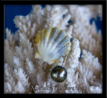 Tri Color Sunrise Shell and Tahitian Black Pearl Fine Silver Ring