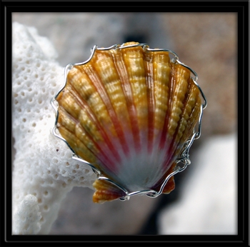 Yellow Pink Sunrise Shell Ring