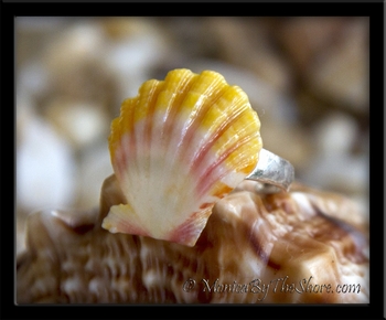 Yellow Pink & White Hawaiian Sunrise Shell Toe Ring