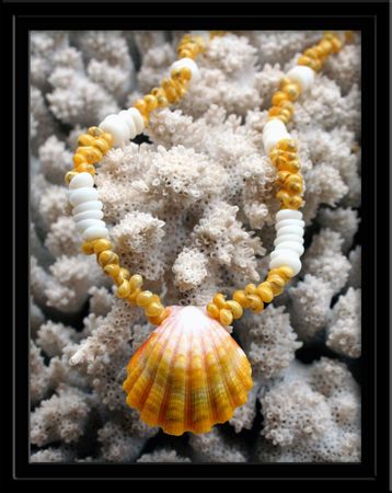 Yellow White Sunrise Shell Tahitian Mongo Shell & Puka Shell Necklace