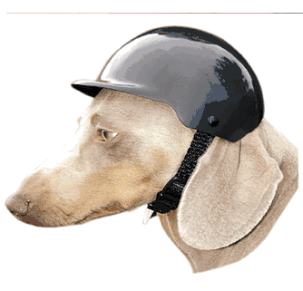 canine motorcycle helmet Dog Helmet - basic black - Dog Motorcycle Helmet