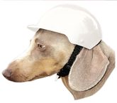 Dog Motorcycle Helmet - Bone White