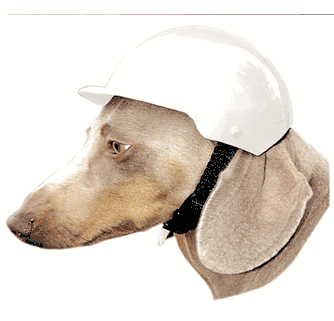 Dog Biker Helmet - Motorcycle Helmet for Dogs and Pets | KoolDawgTees