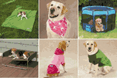 Insect Shield Protective Dogs Clothing and Gear Insect Shield Protective Dogs Clothing and Gear