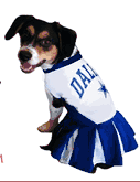 NFL Dog Apparel Page 2 | Dolphins to Redskins