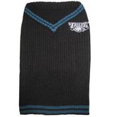 Philadelphia Eagles Dog Sweater