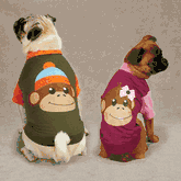 Pet Apparel - Monkey Business East Side Collection Pet Apparel - Monkey Business East Side Collection