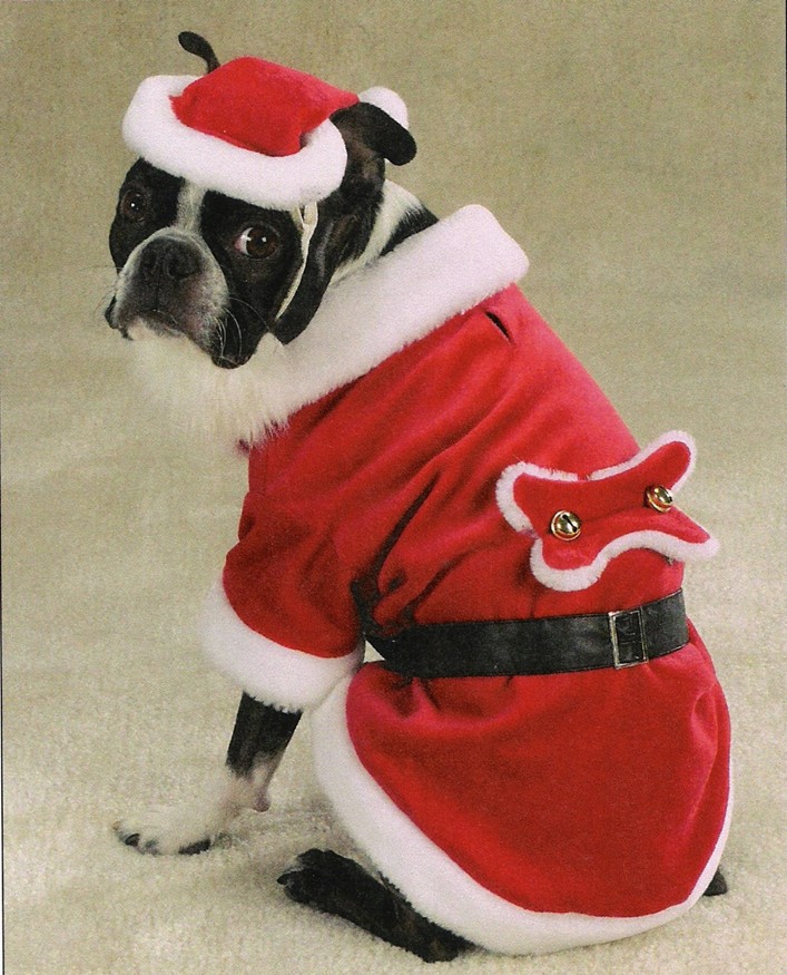 white christmas dresses Christmas Tree Costume for Pet main image 1