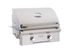 American Outdoor Grill L-Series 24-Inch 2-Burner Built-In Grill