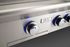 American Outdoor Grill L-Series 24-Inch 2-Burner Built-In Grill