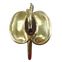 1796 Pattern British Sergeant and Drummer Sword