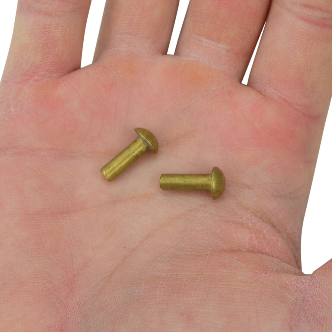 Brass Mushroom Head Rivets Set of 25