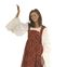 Fleur de Lis Renaissance Dress