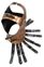 Greek Muscle Armor Cuirass - Bronze Finish
