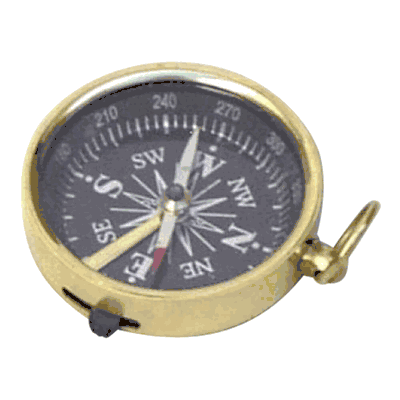 Pocket Compass II