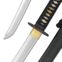 Practical Plus Elite Katana