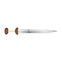 Roman Mainz Gladius