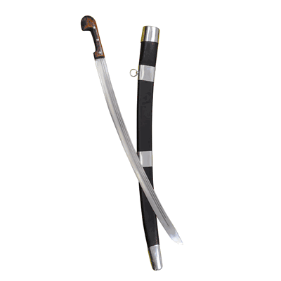 Shashka Saber