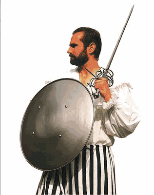 Steel Domed Shield