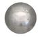 Steel Domed Shield