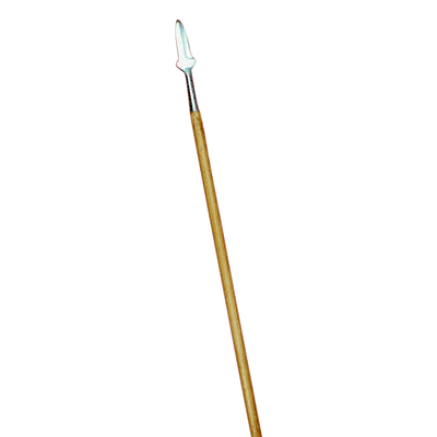 Viking Spear