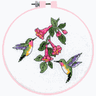 Learn a Craft - Counted Cross Stitch Kit - Hummingbird Duo