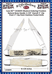 W.R. Case & Sons Cutlery CA58495 Case XX� Muskrat Enduring Freedom Natural Bone Handle 3-7/8" Overll 3" Clip Point 3" Clip Point Stainless Pocket Knife 