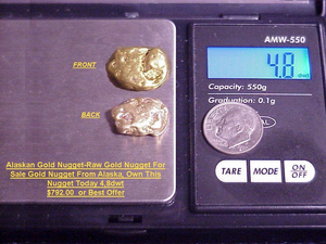 Majestic Eagle Quality Gems 4.8dwt Genuine Alaskan Gold Nugget