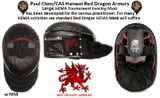 Paul Chen/Hanwei AR7058 Tournament HEMA Fencing Mask Large by Red Dragon Armory