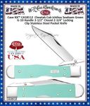 W.R. Case & Sons Cutlery CA18112 Case XX� Cheetah Cub Ichthus Seafoam Green Handle 3-1/2" Closed 2-3/4" Locking Clip G-10 Stainless Steel Pocket Knife
