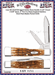 WR Case & Son's Cutlery CA10728 Case XX� Peach Seed Jigged Amber Bone Gunstock Stainless Pocket Knife