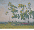A Grove of Eucalyptus <br><small>Maurice Braun