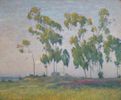 A Grove of Eucalyptus <br><small>Maurice Braun