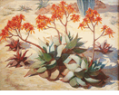 The Aloe Bloom <br><small>Louise Everett Nimmo