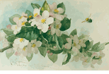 Apple Blossoms with Bumblebees<br><small>Paul de Longpre