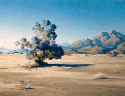 Click to enlarge