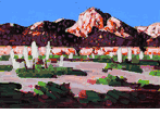 Blooming Yuccas in the Desert<br><small>Conrad Buff