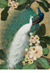 Blue and White Peacocks <br><small>Jessie Arms Botke