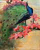 Blue Peacock<br><small>Jessie Arms Botke</font>