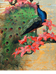 Blue Peacock<br><small>Jessie Arms Botke</font>