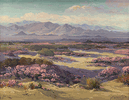 Verbenas In Bloom In The Desert<br>Frederick Grayson Sayre