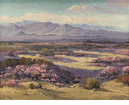 Verbenas In Bloom In The Desert<br>Frederick Grayson Sayre