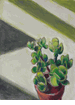 Succulent<br><small>Frederick Wight