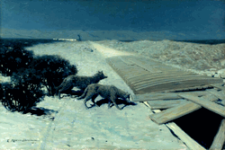 Click to enlarge