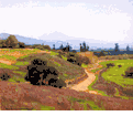 California Foothills, Mt. Baldy<br><small>William Wendt